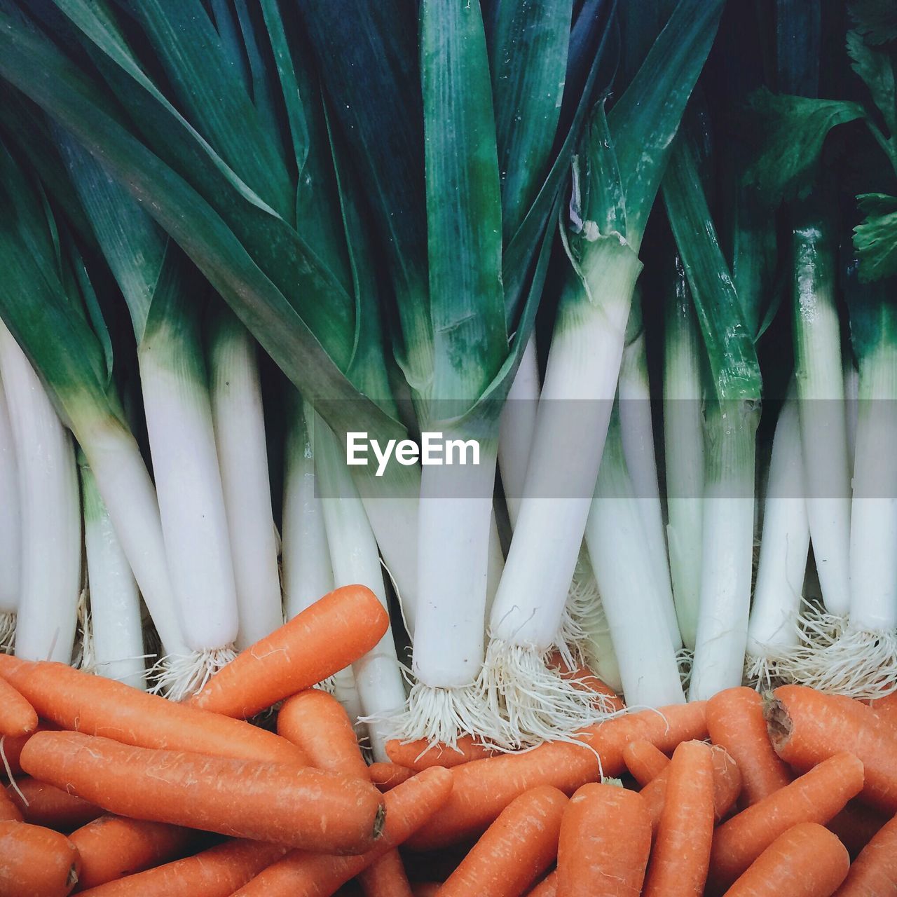 Close-up of carrots and leeks in market