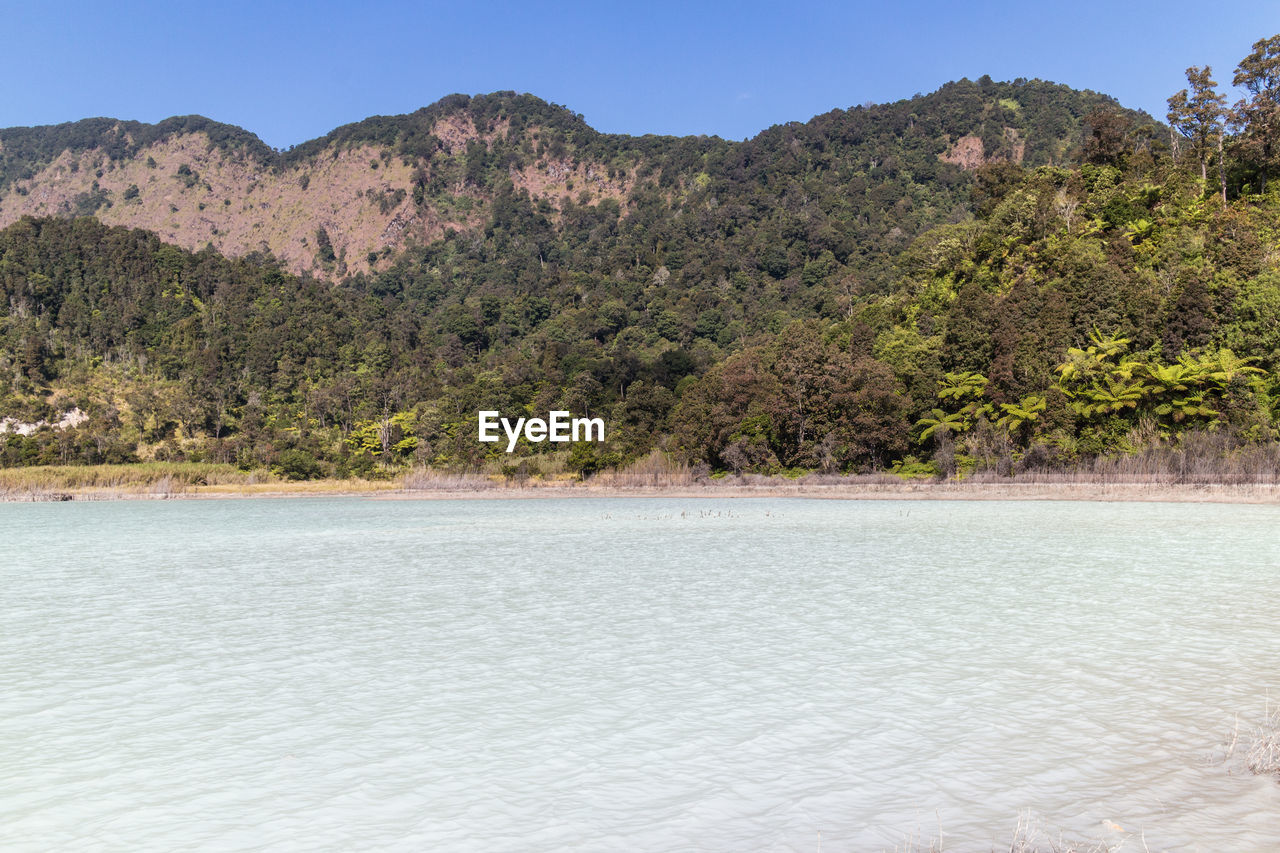 SCENIC VIEW OF TREE MOUNTAIN AGAINST SKY