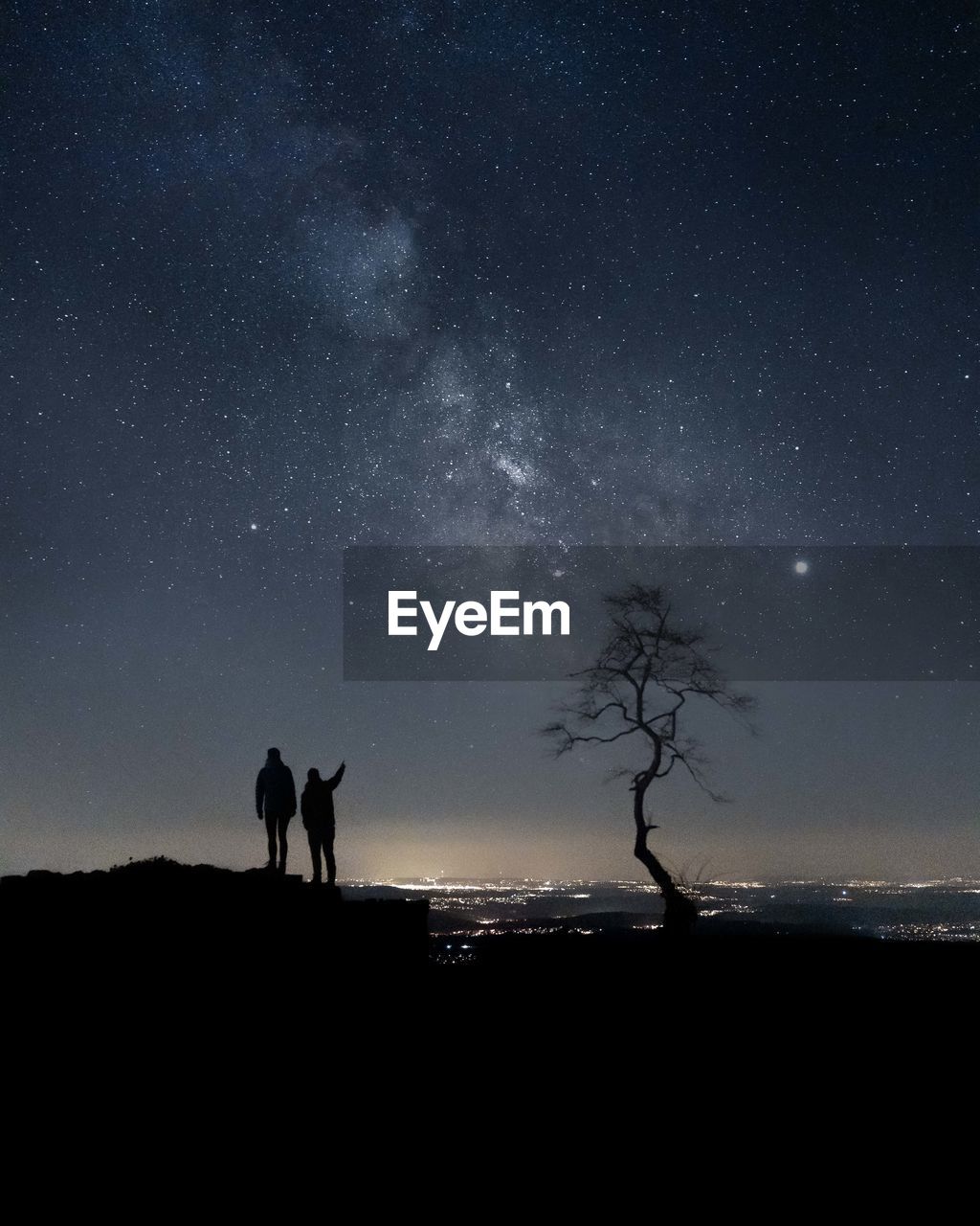 star, night, sky, space, silhouette, astronomy, scenics - nature, galaxy, nature, beauty in nature, space and astronomy, milky way, science, landscape, tree, environment, astronomical object, darkness, land, moonlight, star field, constellation, men, plant, tranquility, dark, tranquil scene, outdoors, two people, mammal, standing, infinity