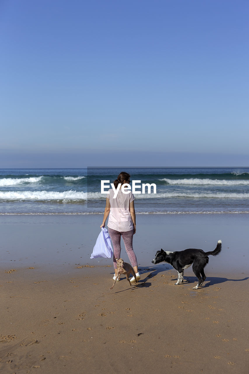 FULL LENGTH OF DOG ON BEACH