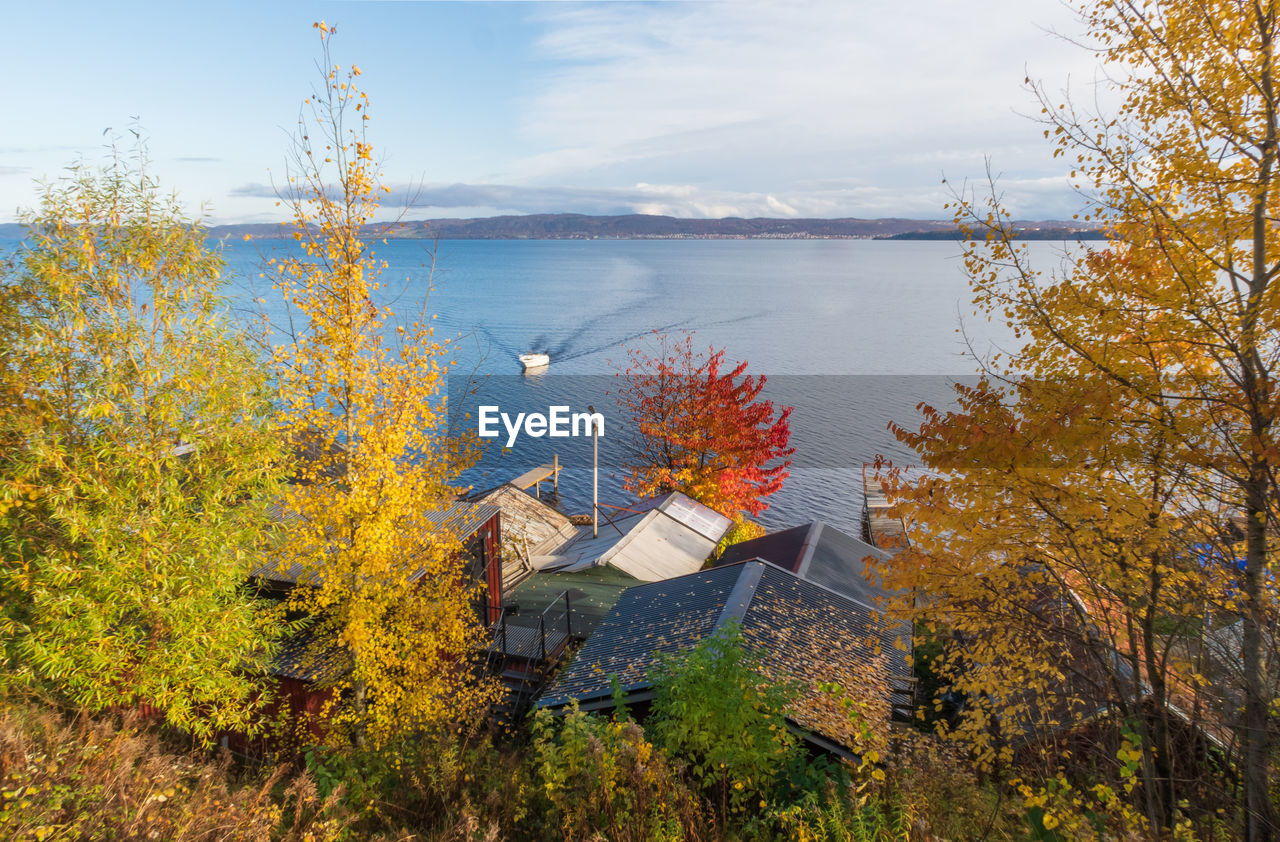 HIGH ANGLE VIEW OF TREES BY LAKE AGAINST BUILDINGS DURING AUTUMN