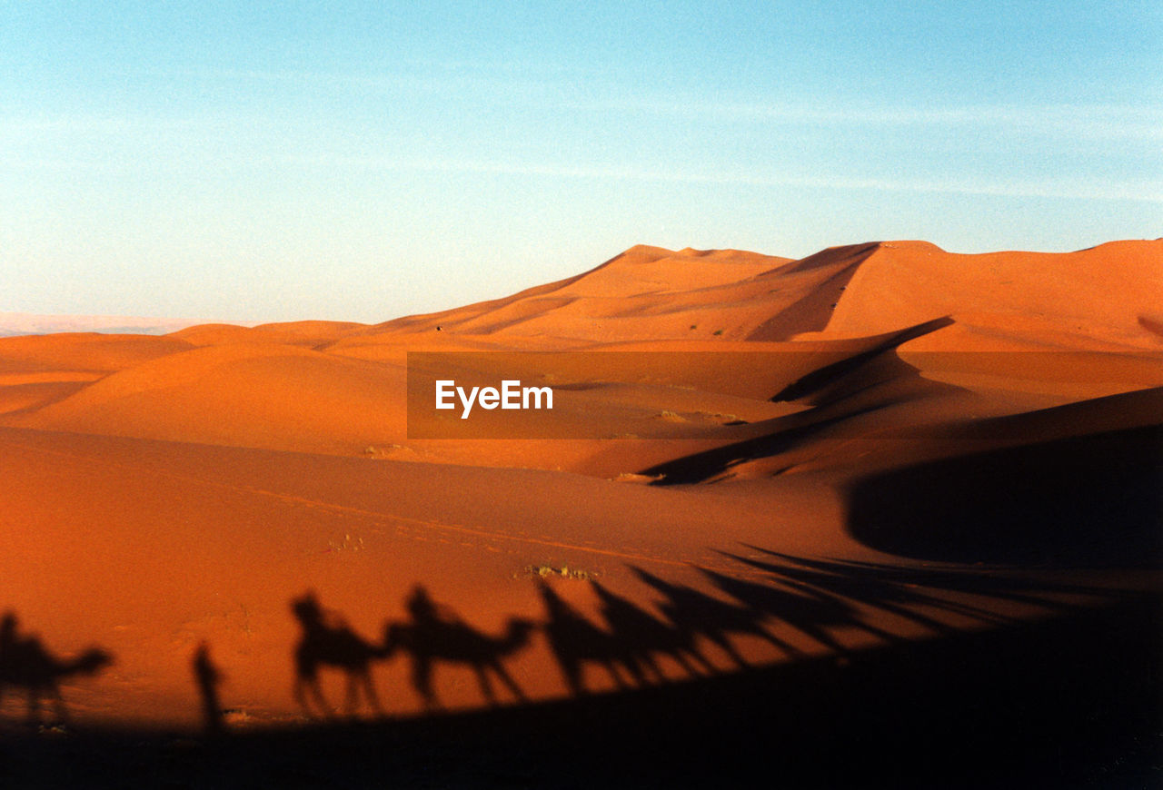 Scenic view of desert against sky