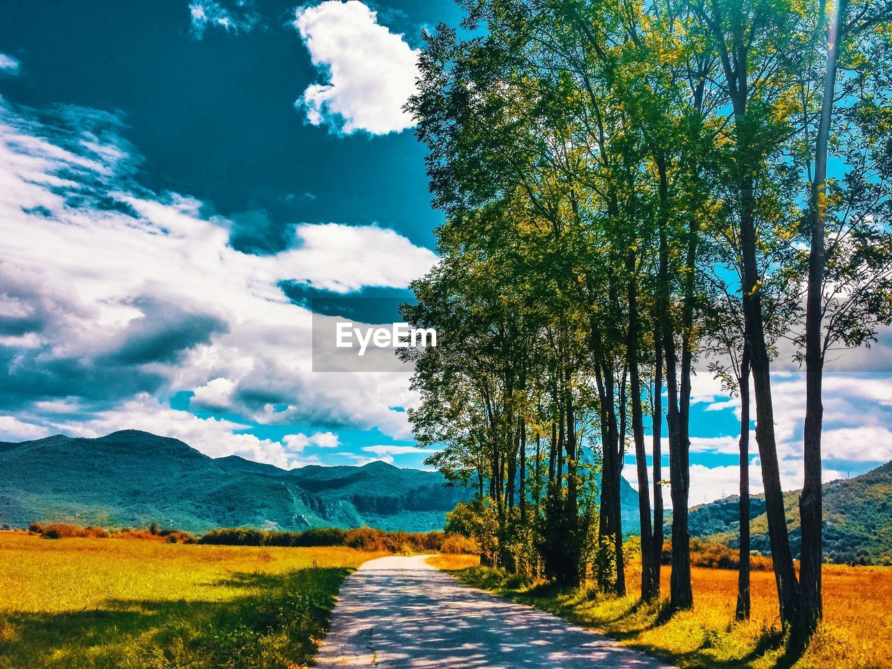 ROAD AMIDST TREES AND LANDSCAPE AGAINST SKY