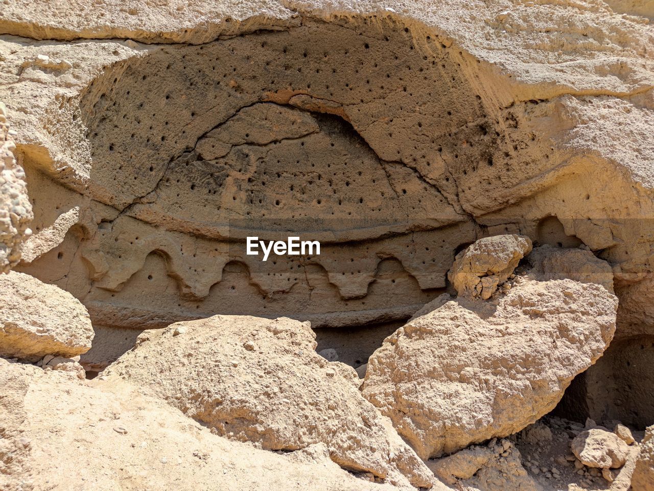 rock, land, nature, sand, geology, no people, ancient history, day, soil, beach, sunlight, outdoors, animal, reptile, ancient, animal themes, high angle view, close-up, history