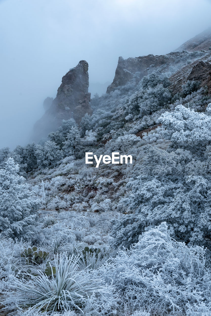 Scenic view of snow covered land