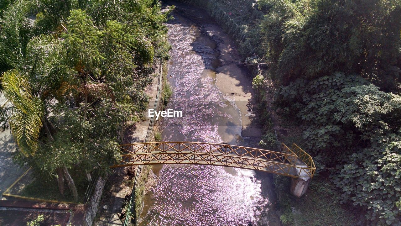 HIGH ANGLE VIEW OF FOOTBRIDGE IN FOREST