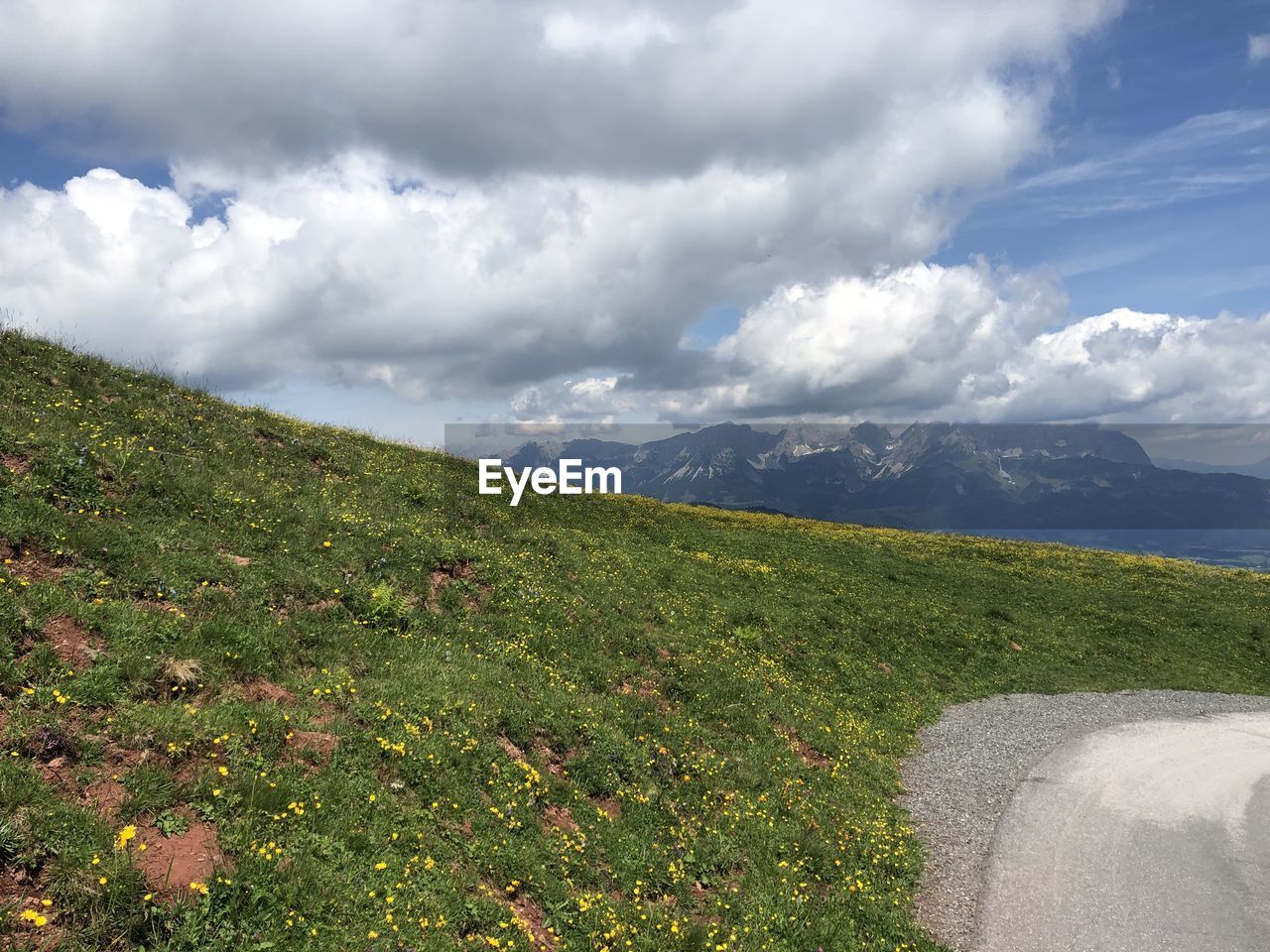 Scenic view of road amidst field against sky