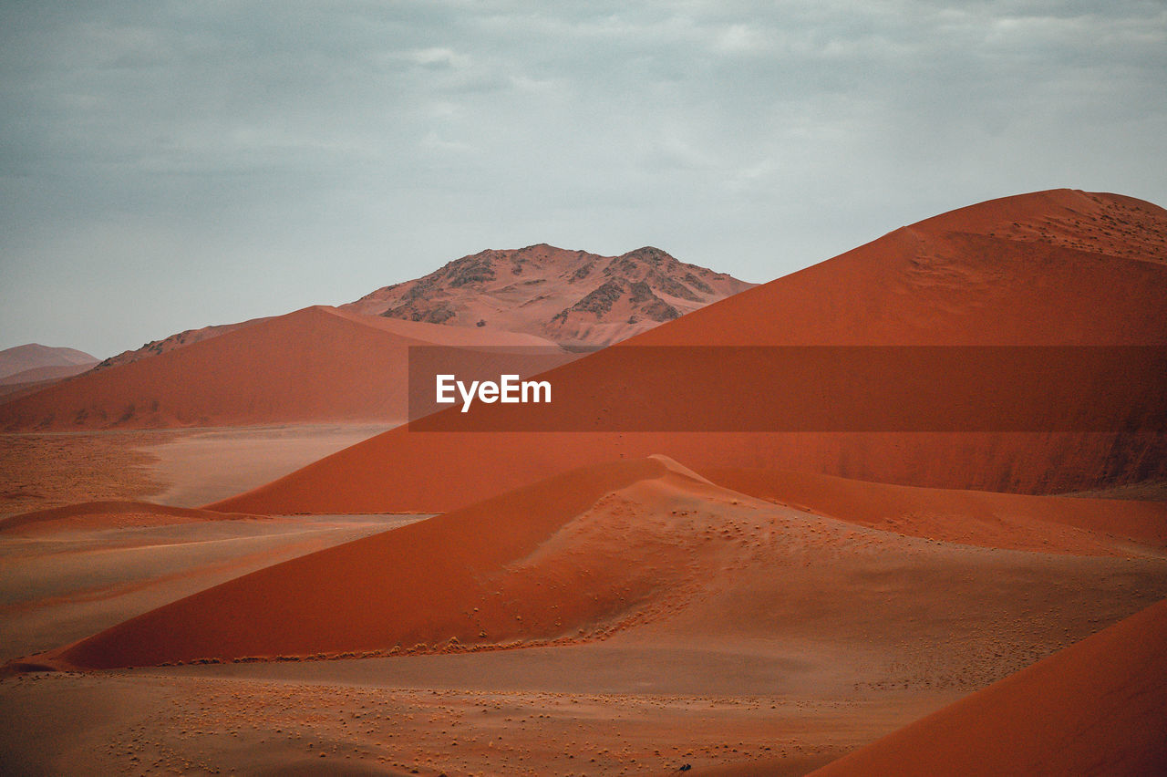 Scenic view of desert against sky