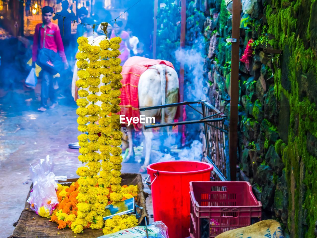 Garlands at temple with cow in background