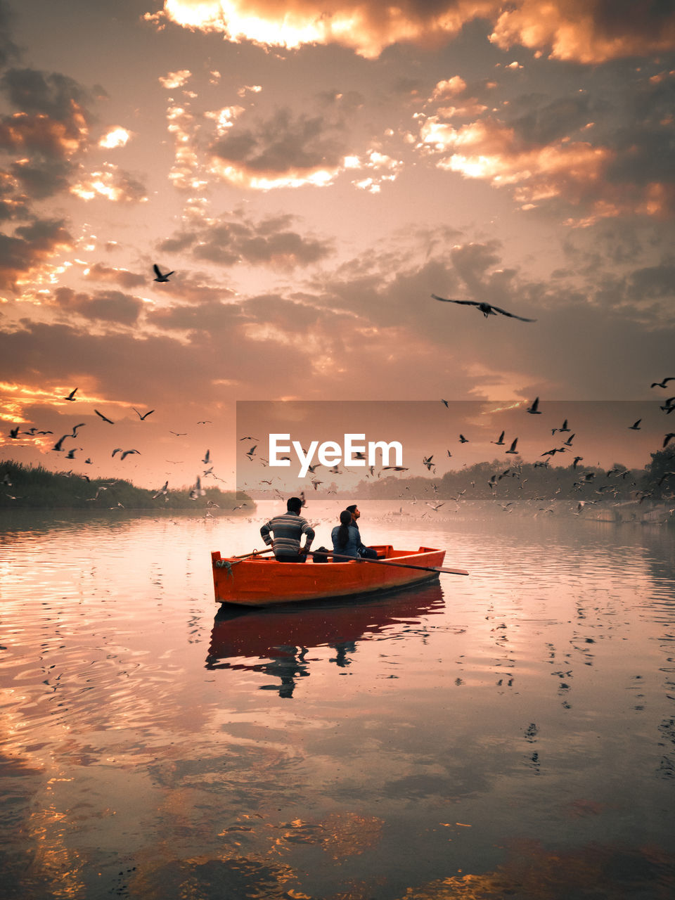 Birds flying over people sailing in lake against sky during sunset