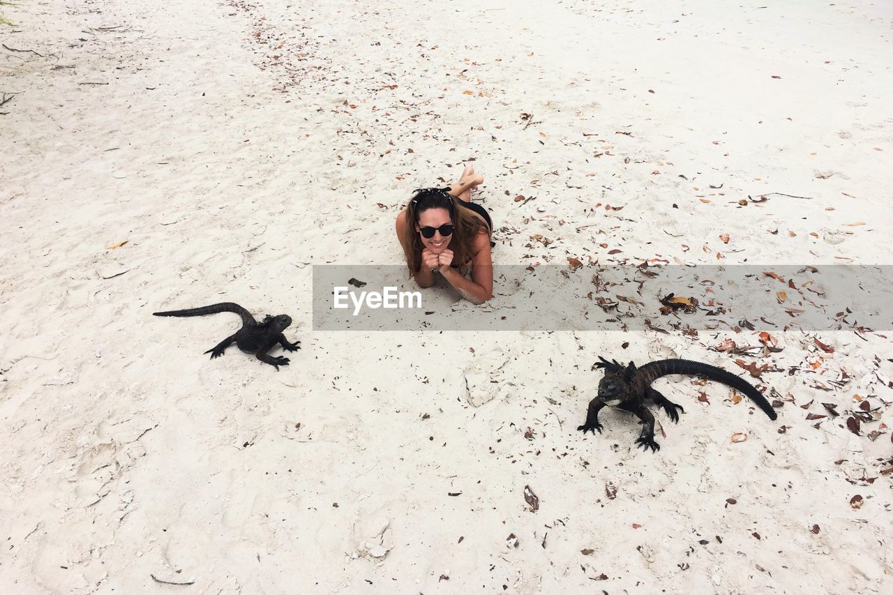 High angle view of a woman and lizards on sand