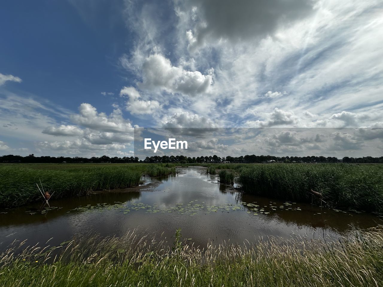 nature, sky, water, cloud, reflection, plant, environment, grass, landscape, marsh, natural environment, beauty in nature, scenics - nature, wetland, river, land, no people, rural area, tranquility, horizon, shore, morning, tranquil scene, polder, outdoors, tree, rural scene, field, body of water, non-urban scene, green, day, growth, meadow, sunlight, reservoir, agriculture
