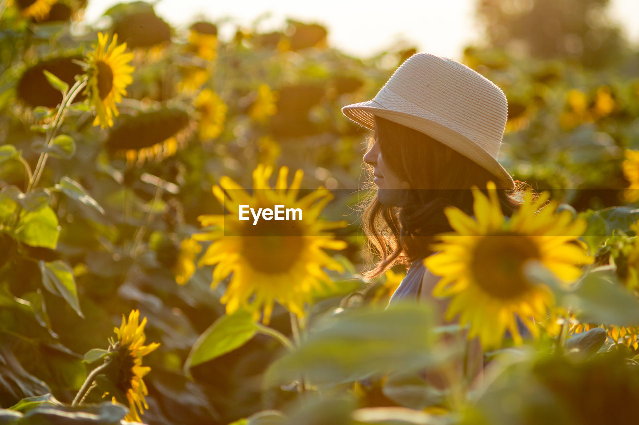 Young woman in sunflower farm
