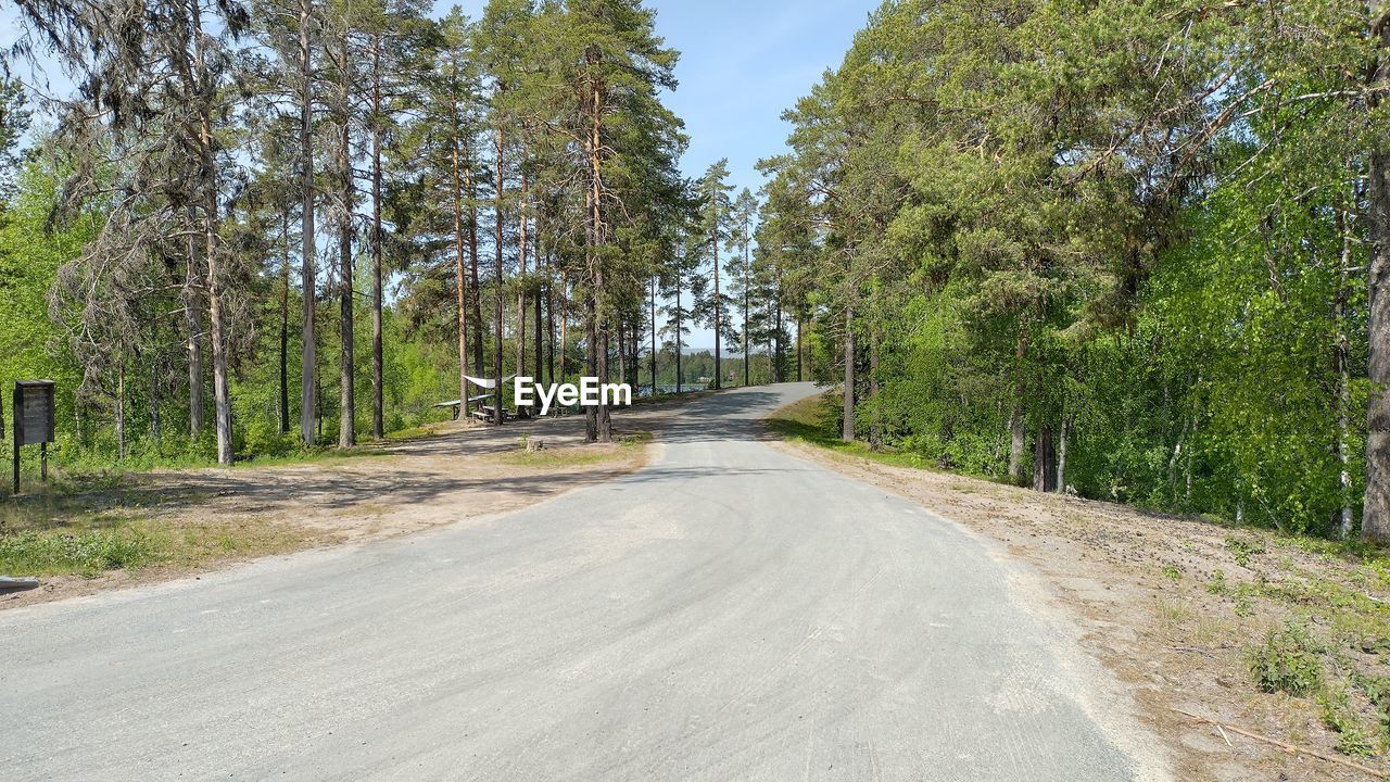 Road amidst trees against sky