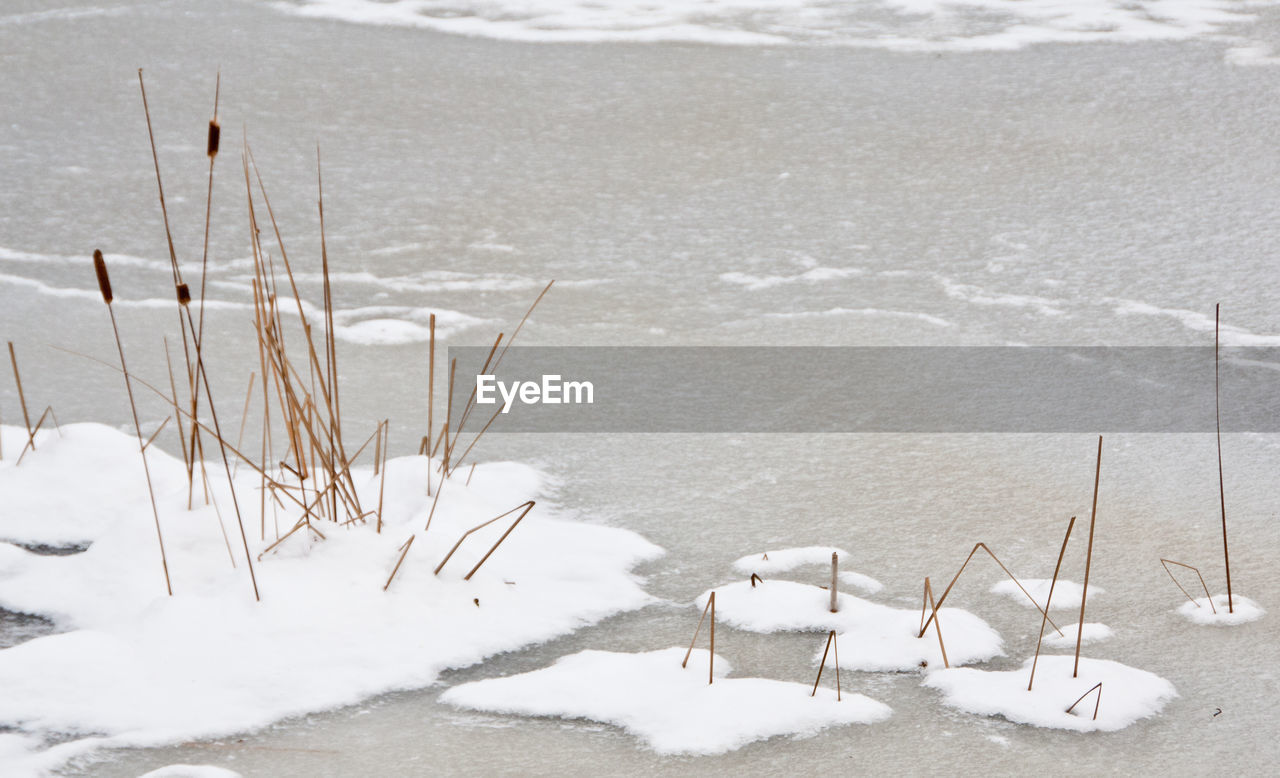 High angle view of dry grass in frozen river