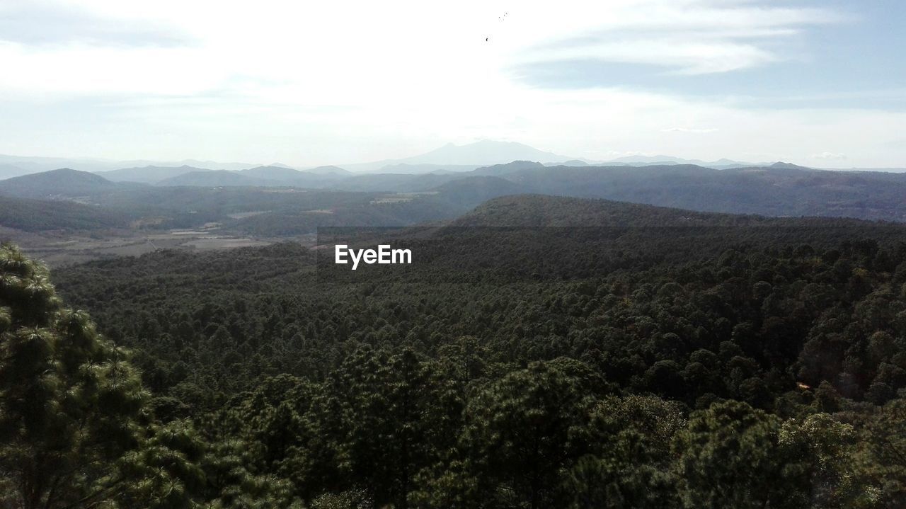 SCENIC VIEW OF FOREST AND MOUNTAINS AGAINST SKY