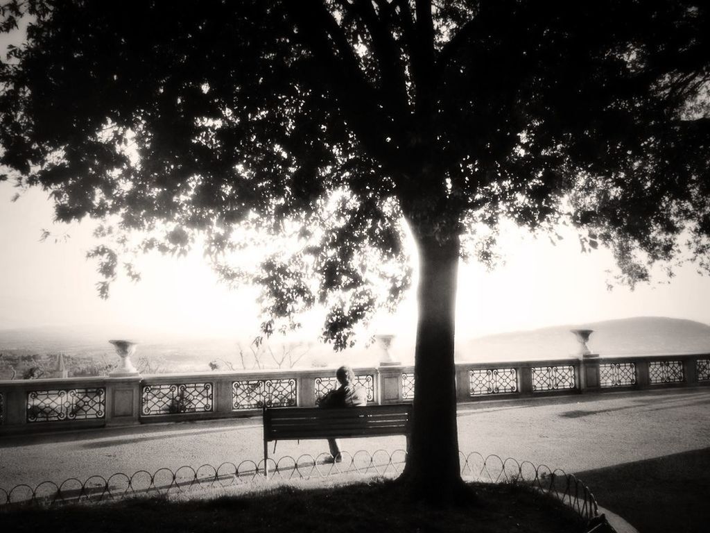 Person sitting on bench at park