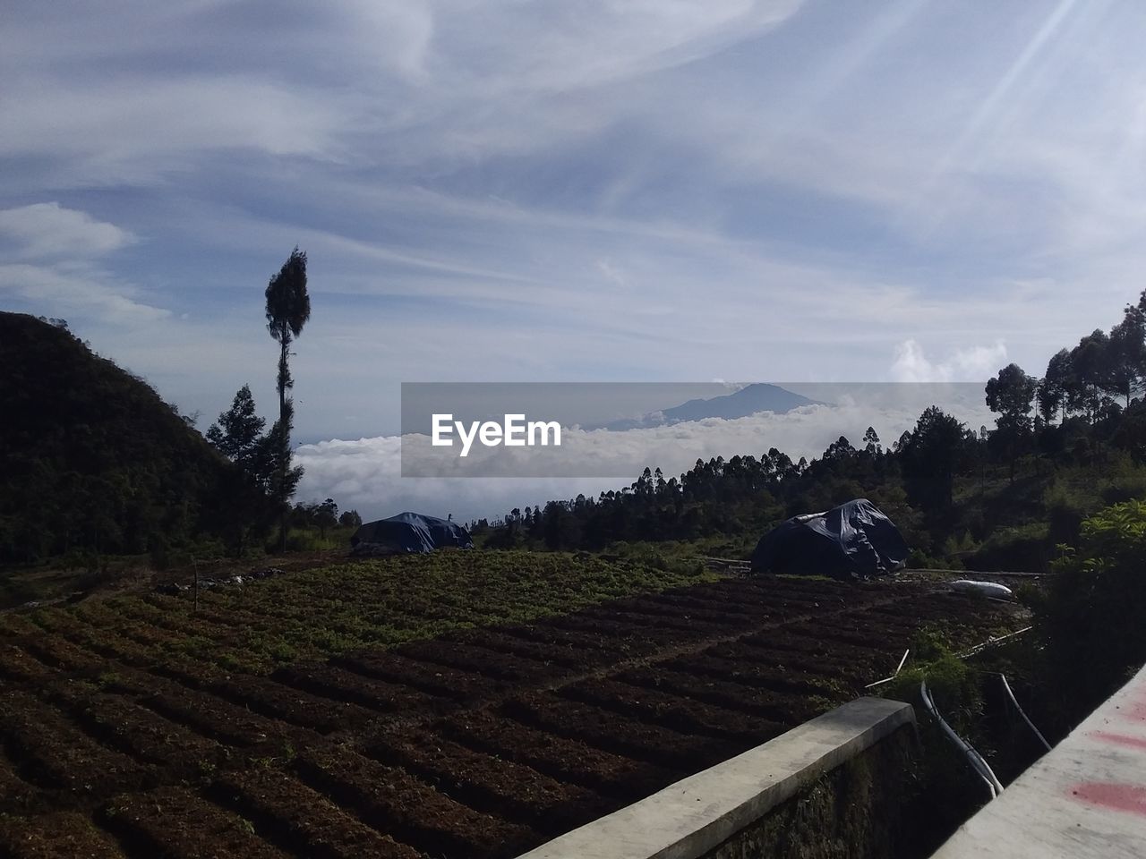 sky, landscape, environment, mountain, plant, nature, land, cloud, scenics - nature, agriculture, rural scene, tree, no people, beauty in nature, field, growth, architecture, tranquility, outdoors, mountain range, crop, travel, farm, day, travel destinations, tranquil scene, food and drink
