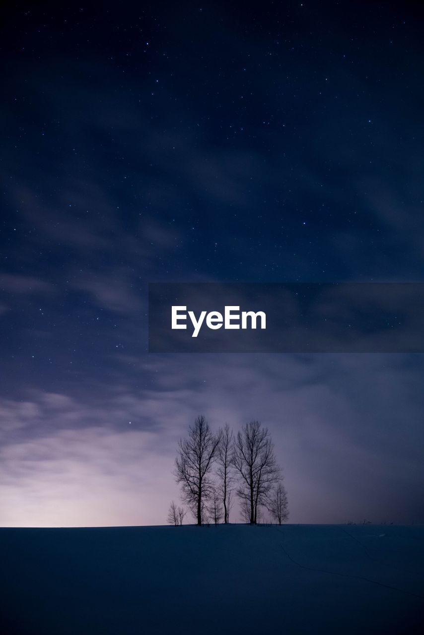SILHOUETTE TREE ON FIELD AGAINST SKY AT NIGHT