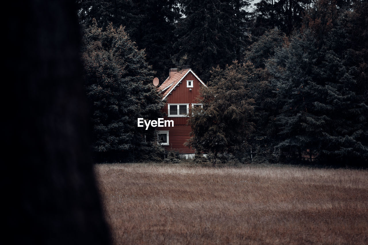 House on field by trees in forest