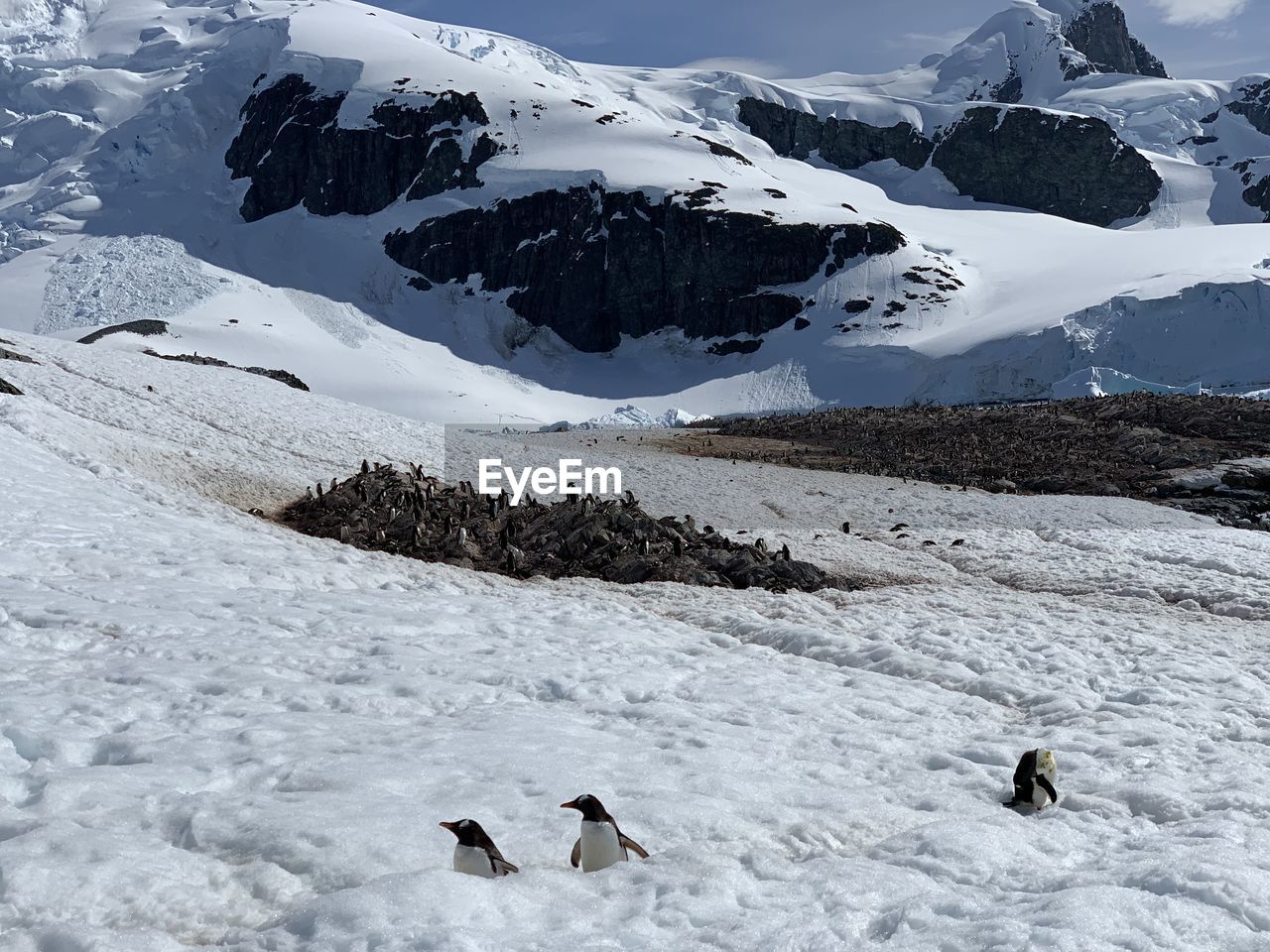 Scenic view of snowcapped mountain