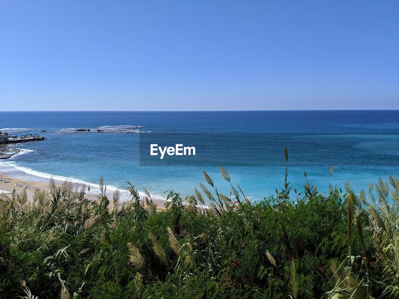 SCENIC VIEW OF BEACH AGAINST CLEAR SKY