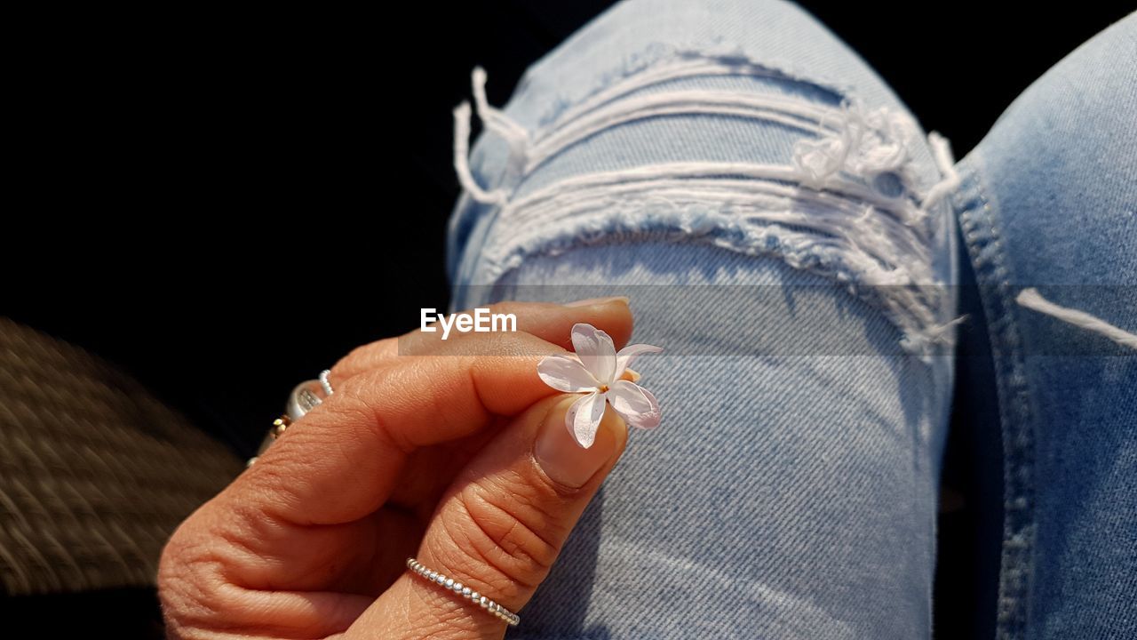 Midsection of woman holding flower