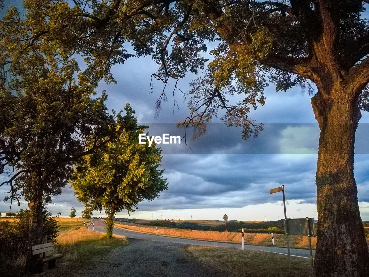 ROAD BY TREES AGAINST SKY