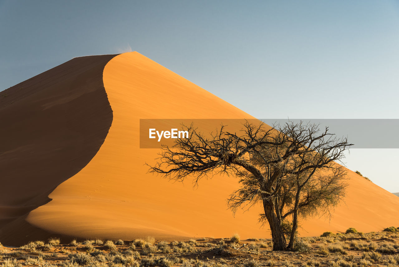 Scenic view of desert against clear sky