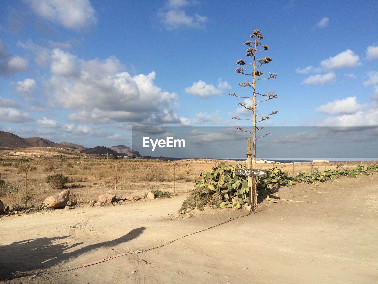 Scenic view of desert against sky