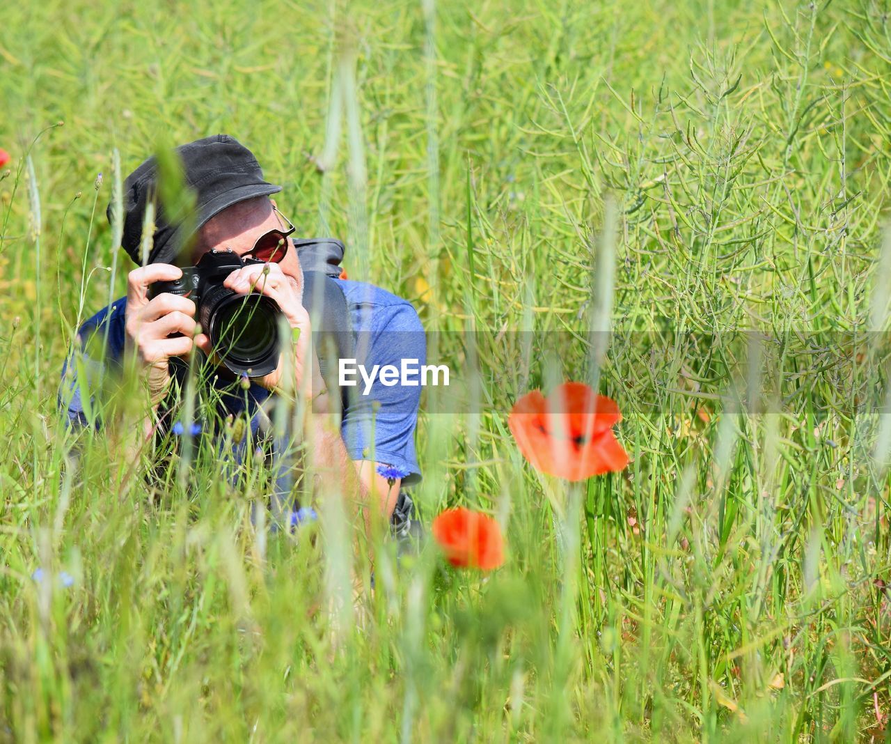 Man photographing poppy amidst plants on field during sunny day