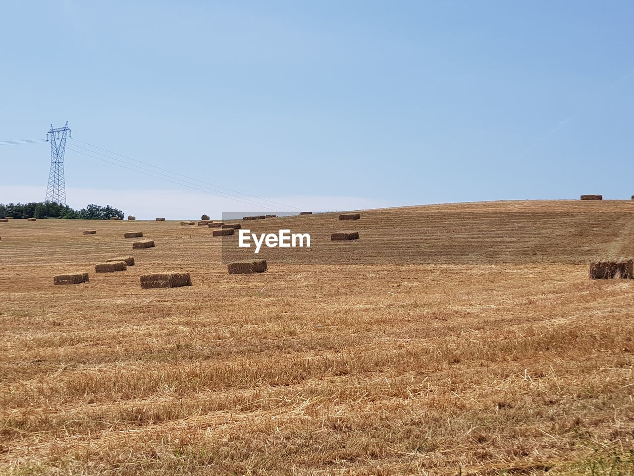 VIEW OF HAY BALES ON FIELD AGAINST CLEAR SKY
