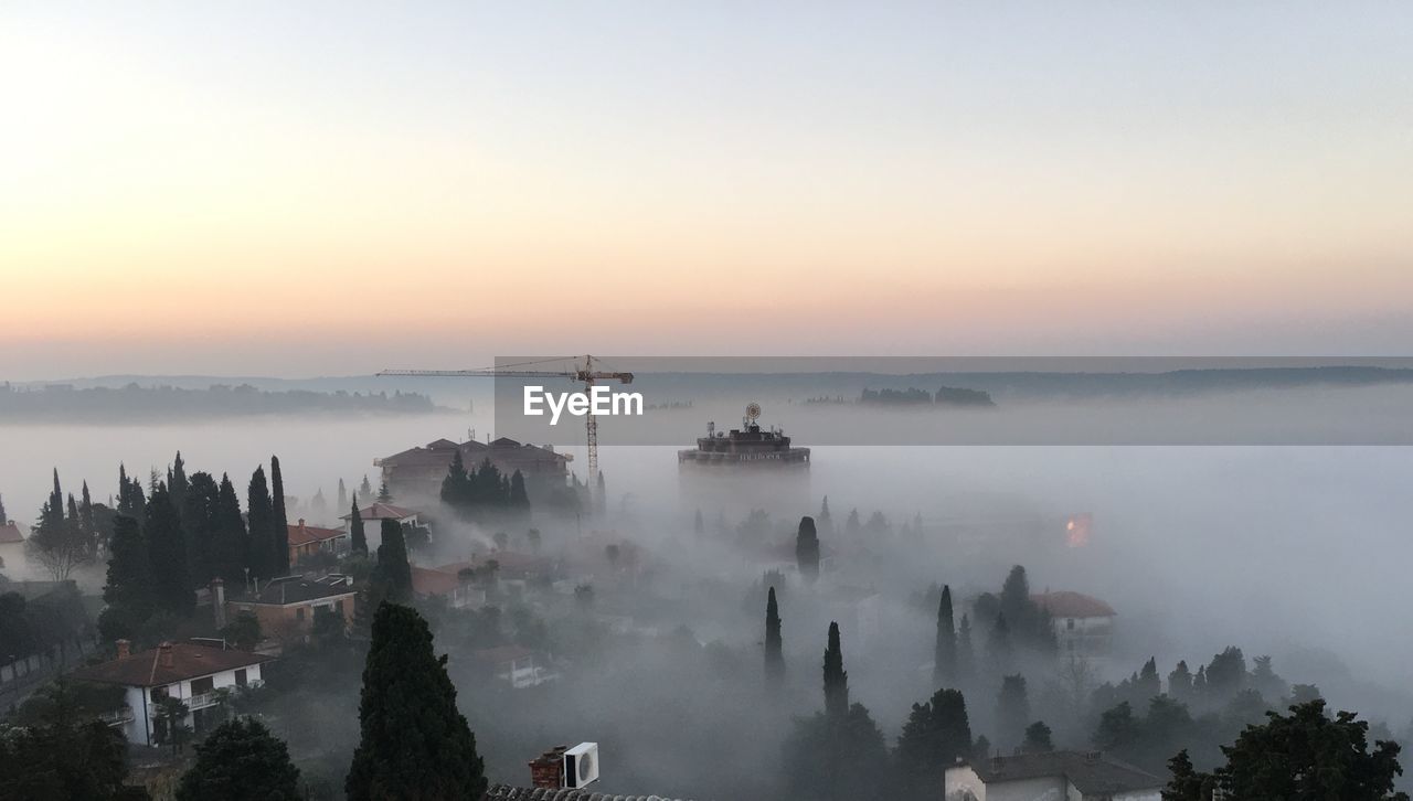 High angle shot of trees on misty landscape