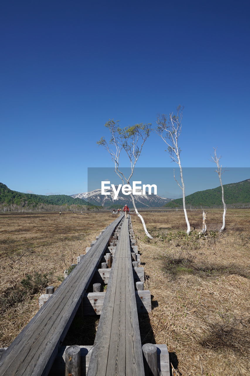 Scenic view of landscape against clear blue sky