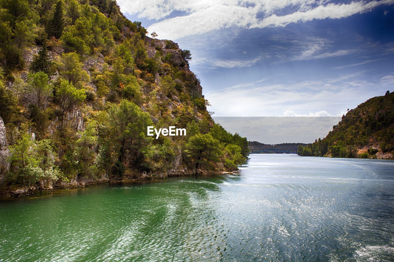 Scenic view of river amidst trees against sky