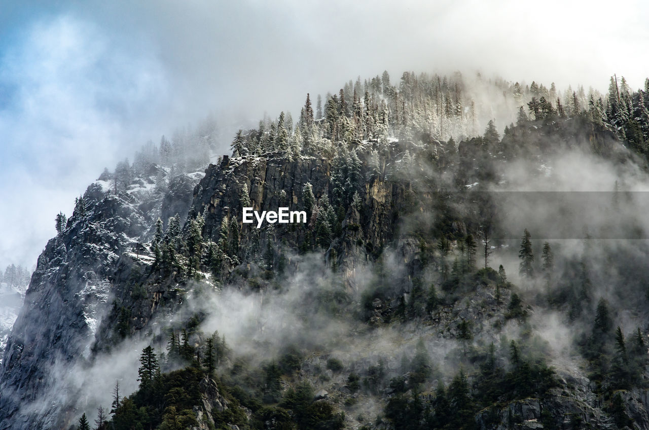 Scenic view of tree mountains against sky during winter