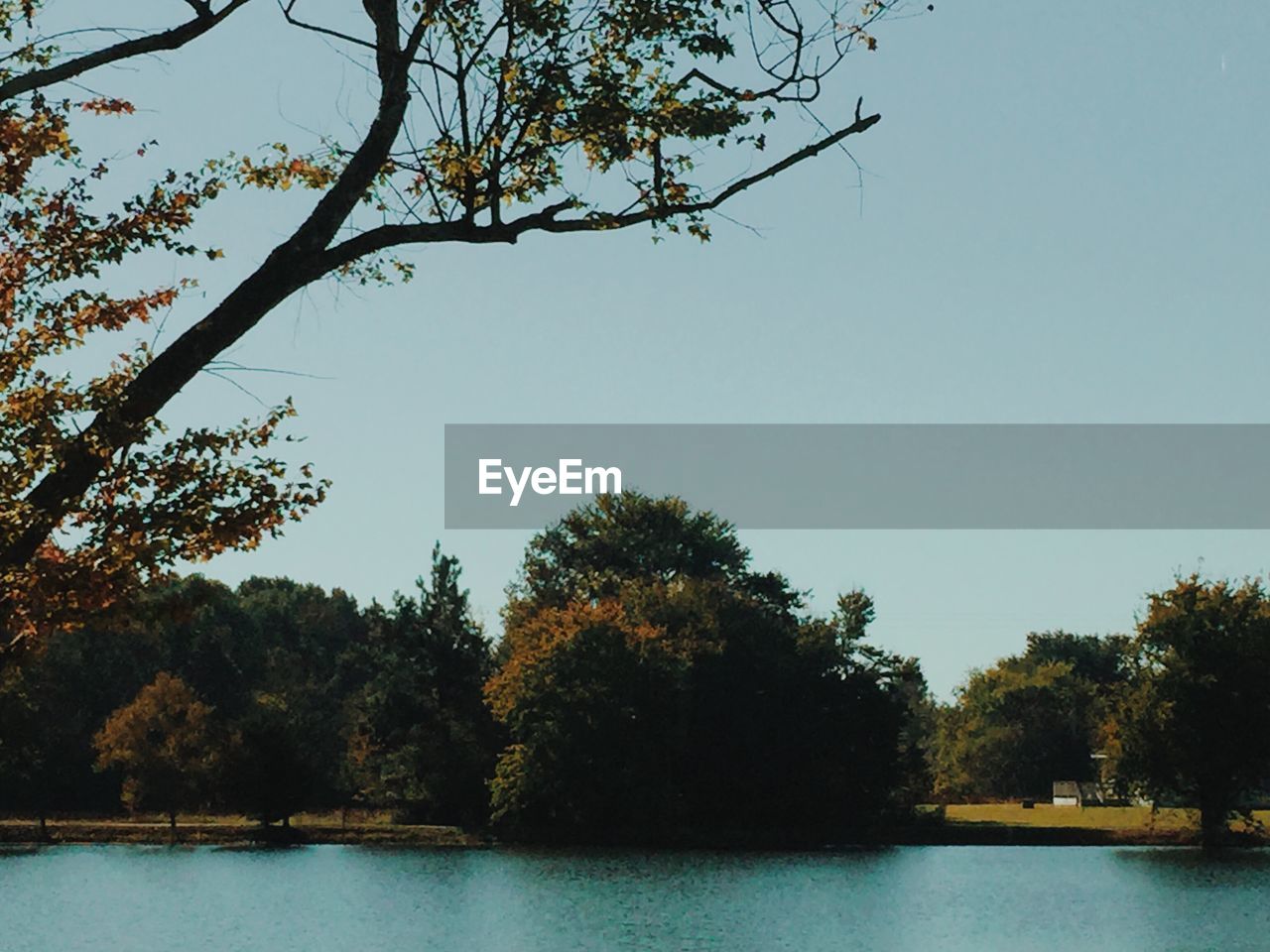 SCENIC VIEW OF CALM LAKE AGAINST CLEAR SKY