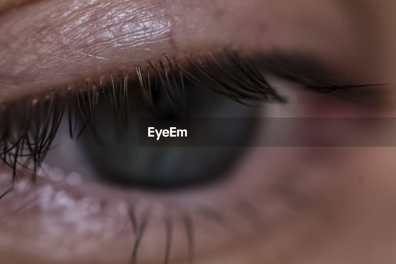 Cropped image of person eye