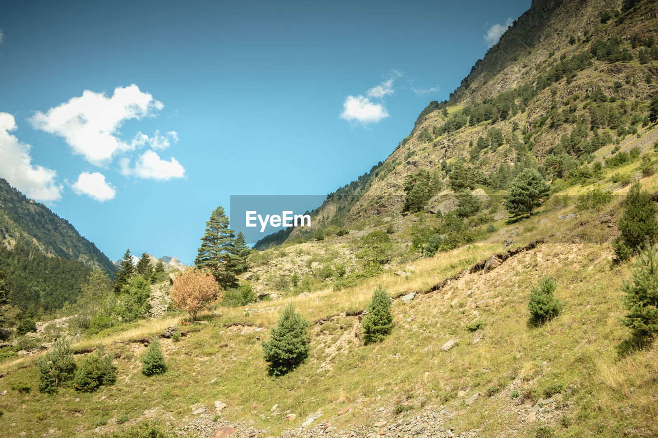 SCENIC VIEW OF MOUNTAIN AGAINST SKY