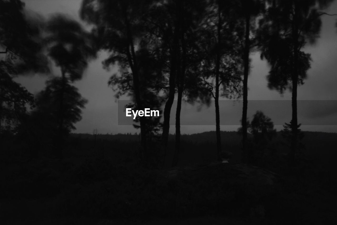 Silhouette trees on field against sky