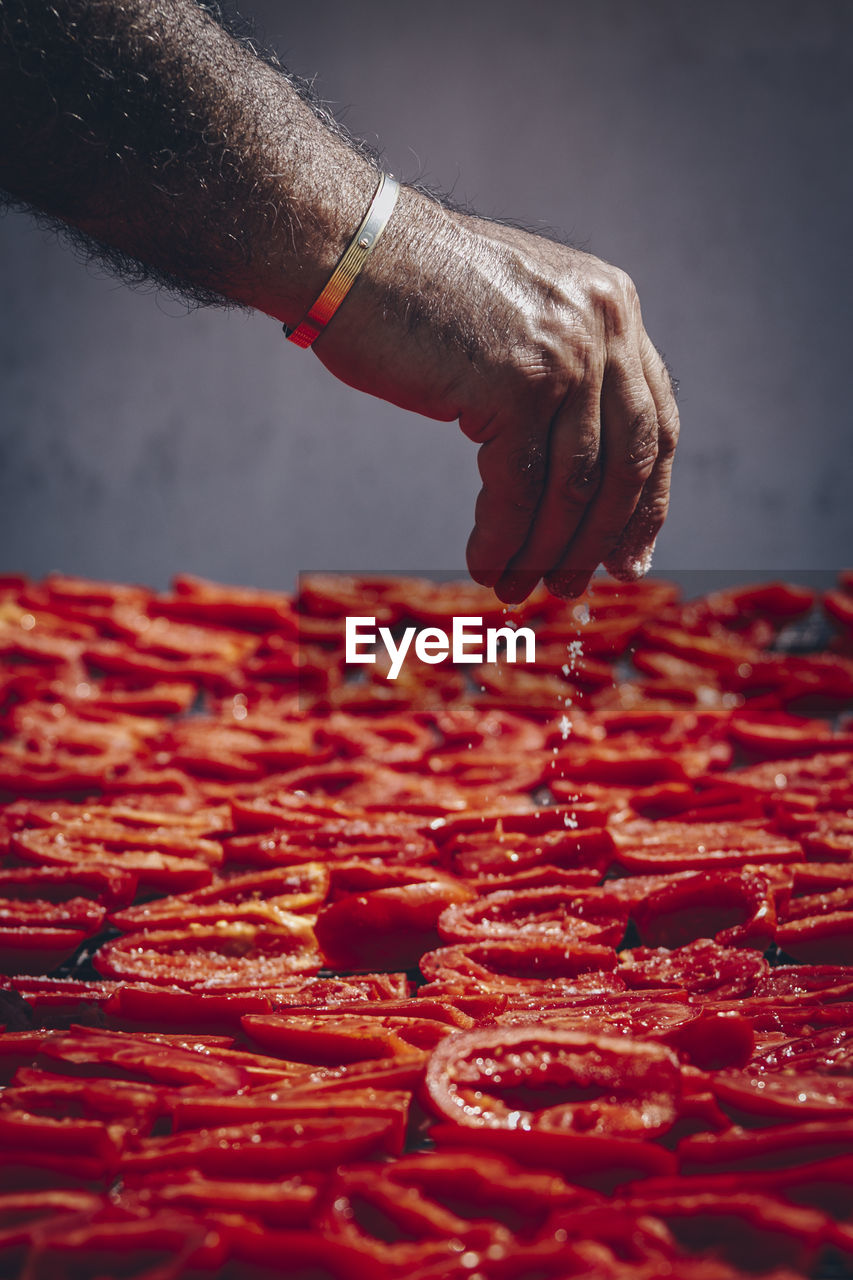 CLOSE-UP OF HAND HOLDING RED CHILI