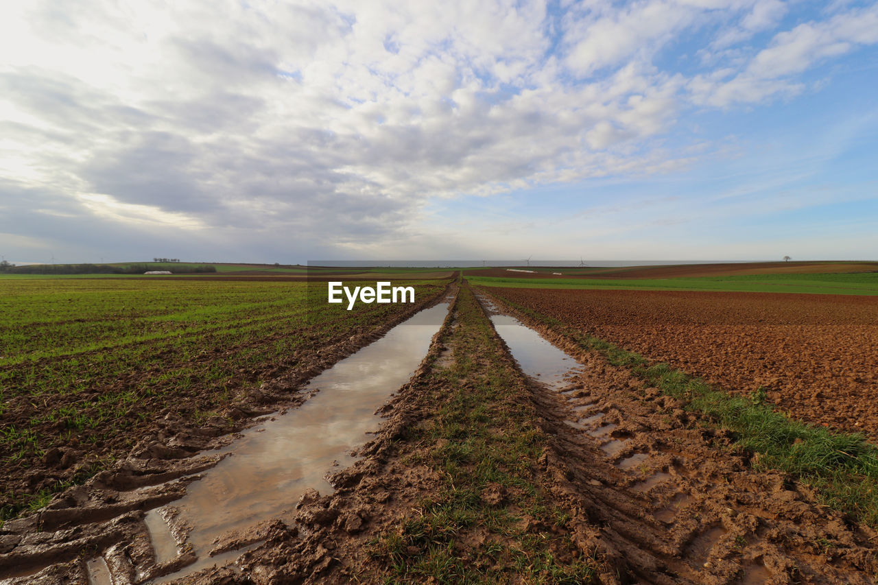 Scenic view of agricultural field against sky