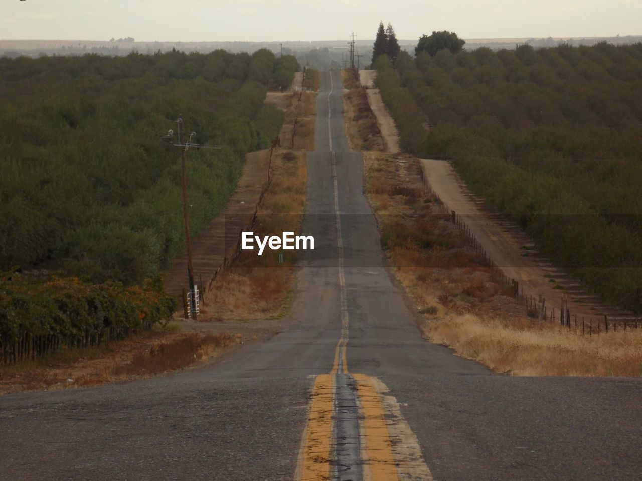 EMPTY NARROW ROAD ALONG LANDSCAPE