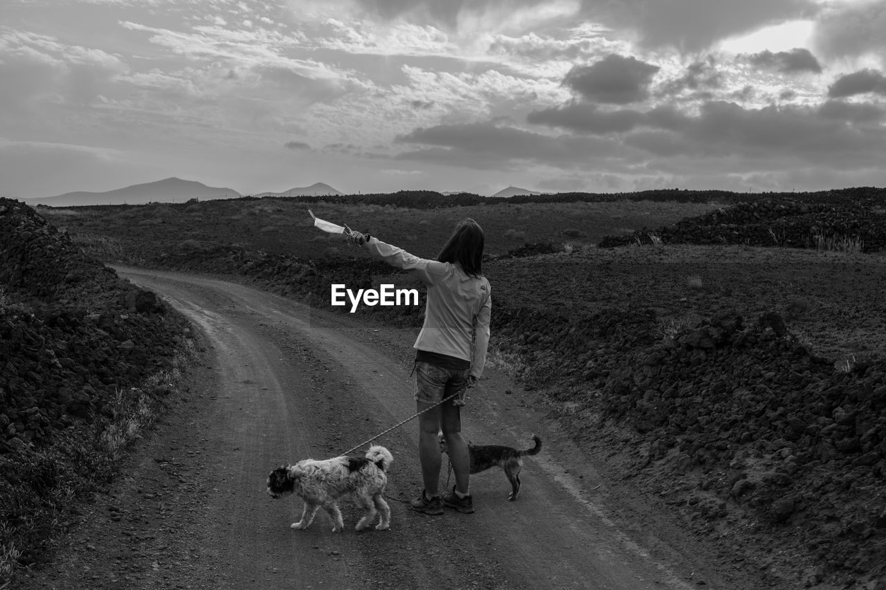 View of woman with dogs on a road.