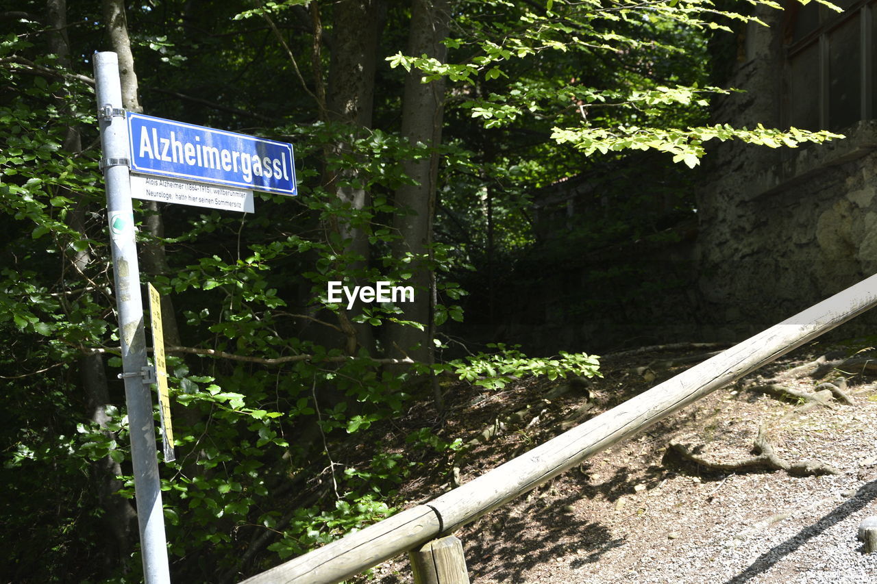 INFORMATION SIGN BY TREES IN FOREST