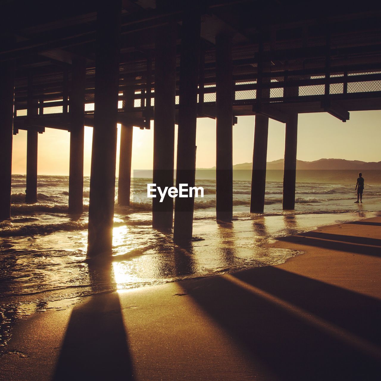 Below view of santa monica pier during sunset