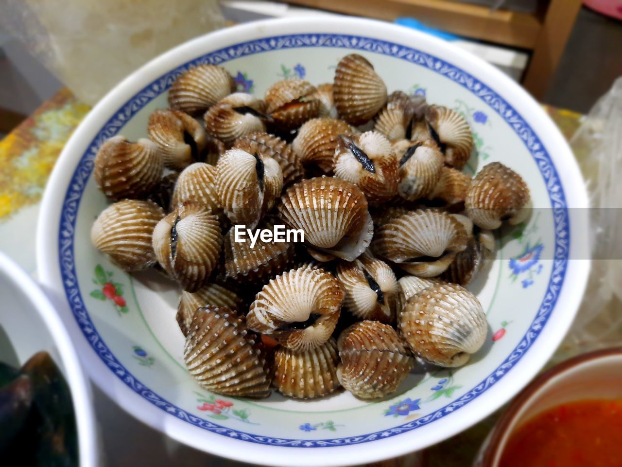 HIGH ANGLE VIEW OF SHELLS IN BOWL