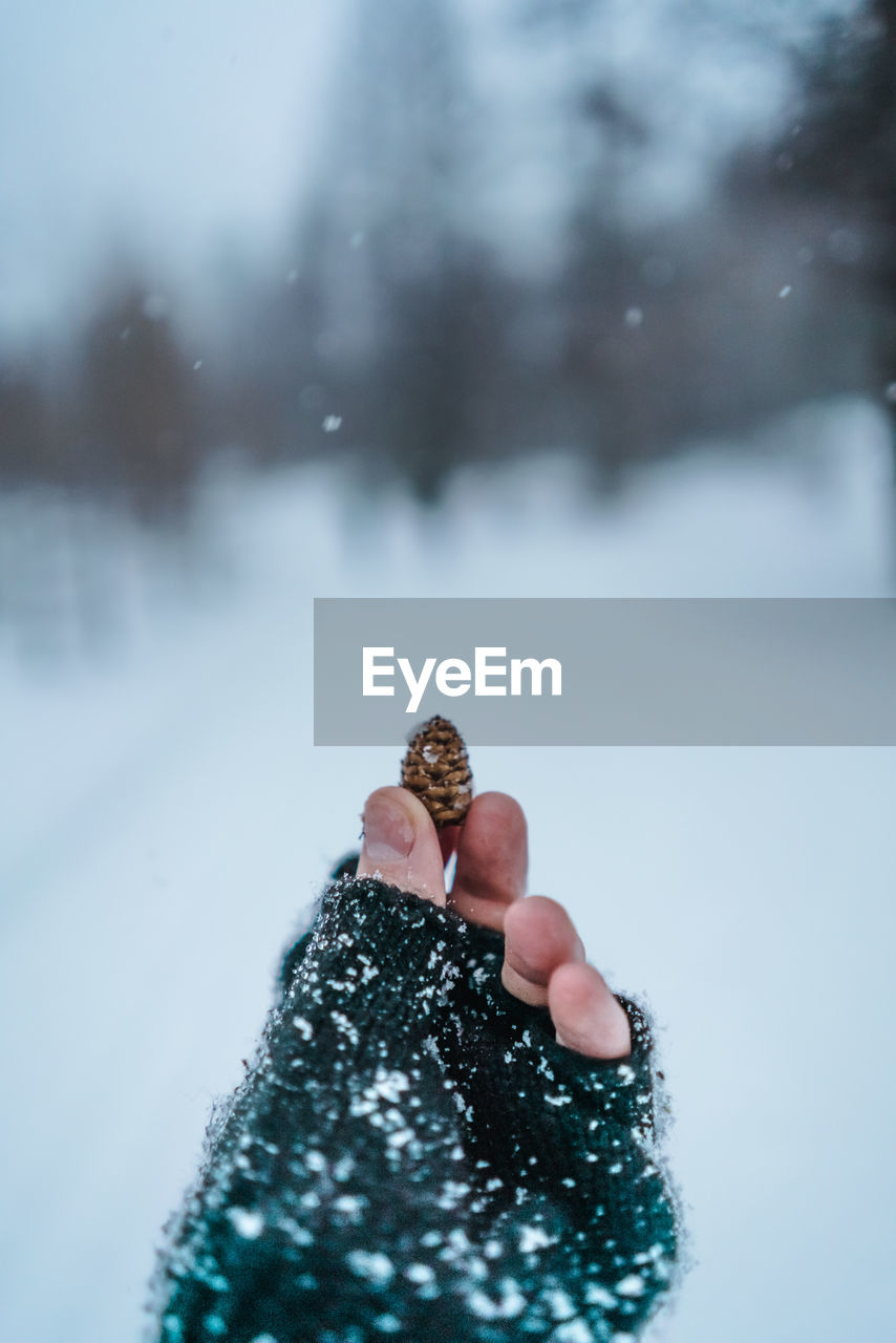 Cropped hand of person holding pine cone during snowfall