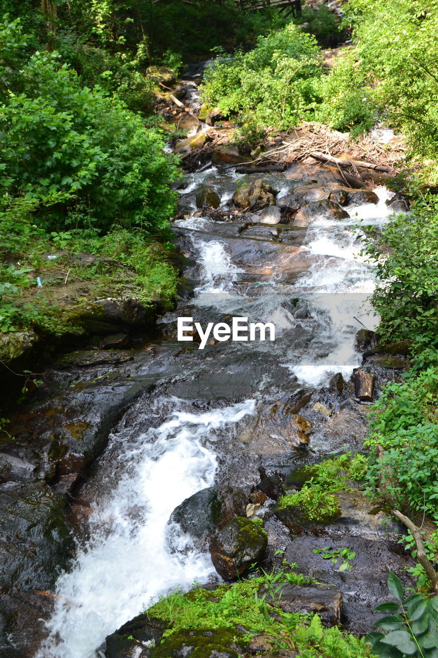 STREAM FLOWING AMIDST ROCKS IN FOREST