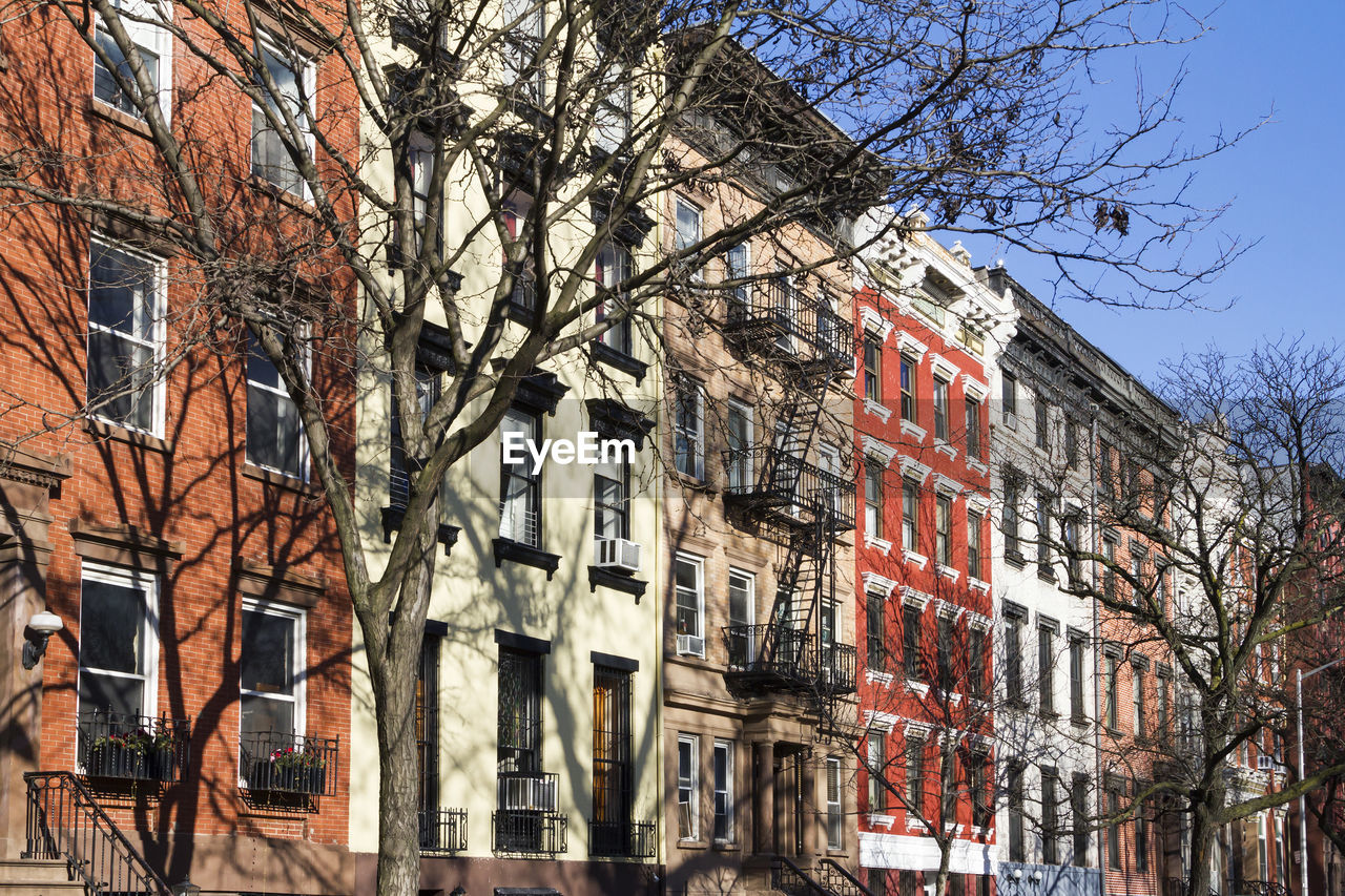 LOW ANGLE VIEW OF BARE TREE AGAINST BUILDING